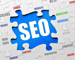 professional-seo professional-seo